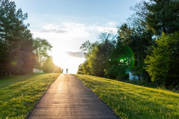 Cost of Asphalt Pathway Installation in Mill Valley