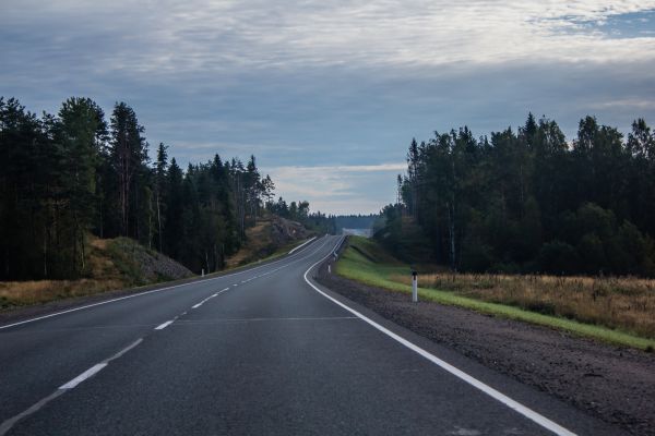 Road Resurfacing in Mill Valley